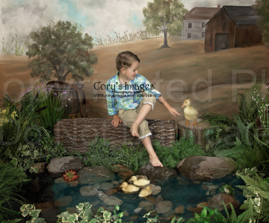 A Day With The Ducklings